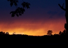 home_06-06-08 001